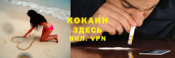 PSILOCYBIN Аркадак