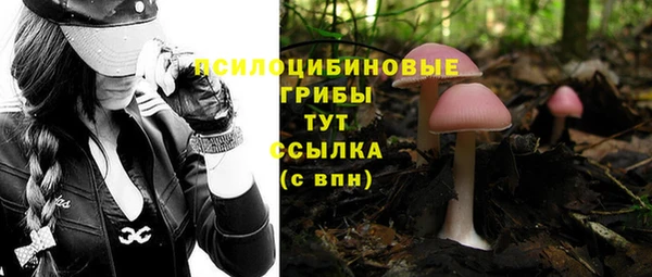 гидра Алексеевка