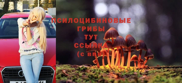 гидра Алексеевка
