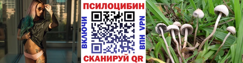 дарнет шоп  Лянтор  Галлюциногенные грибы MAGIC MUSHROOMS 